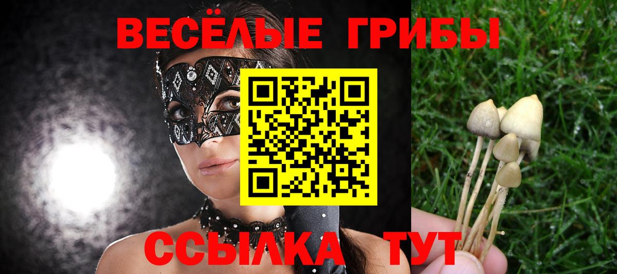 Галлюциногенные грибы мицелий Печора